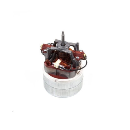 834705 ProTeam MOTOR ASM